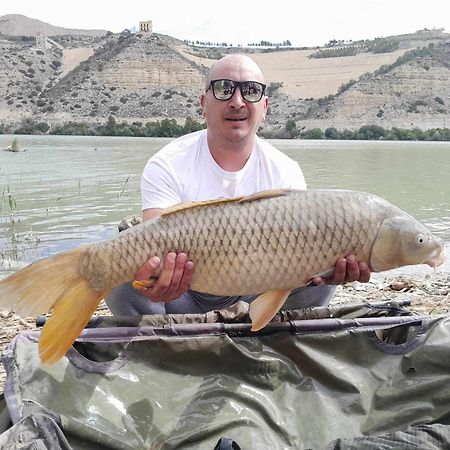 R U Ready Fishing, River Ebro Mequinenza Exterior photo