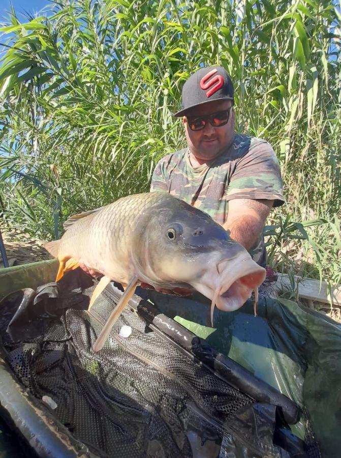 R U Ready Fishing, River Ebro Mequinenza Exterior photo