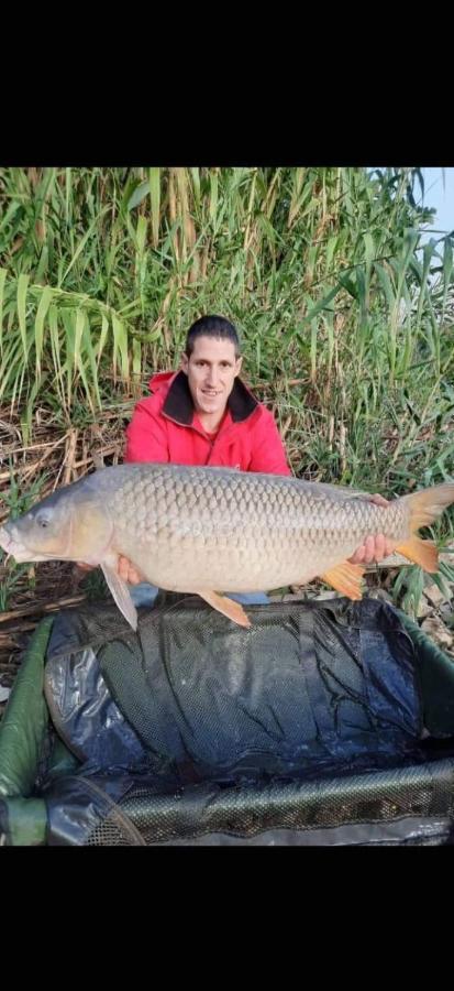 R U Ready Fishing, River Ebro Mequinenza Exterior photo