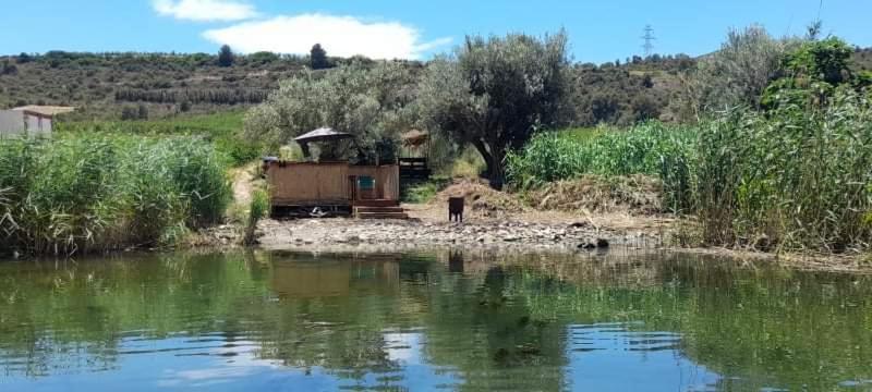 R U Ready Fishing, River Ebro Mequinenza Exterior photo
