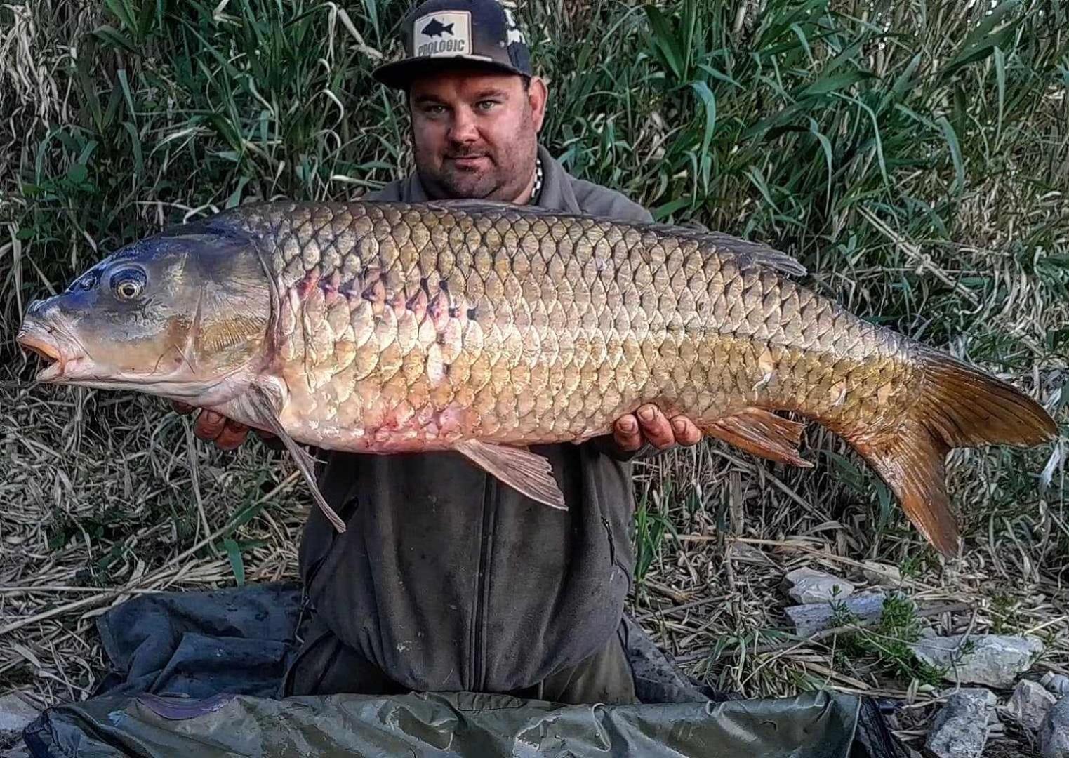R U Ready Fishing, River Ebro Mequinenza Exterior photo